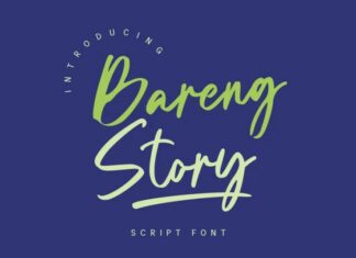 Bareng Story Handwritten Font