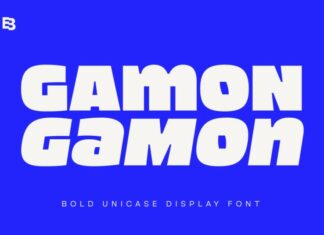 Gamon Sans Serif Font