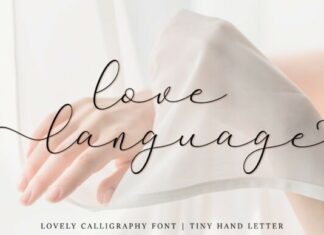 Love Language Script Font