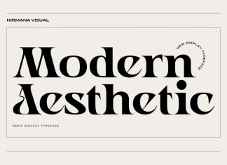 Modern Aesthetic Serif Font