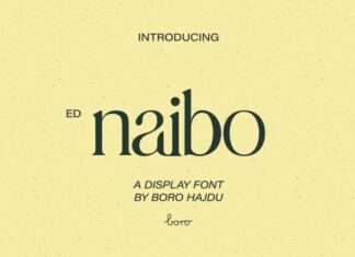 Naibo Serif Font