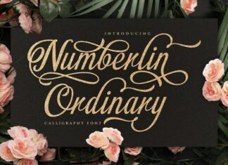 Numberline Ordinary Font
