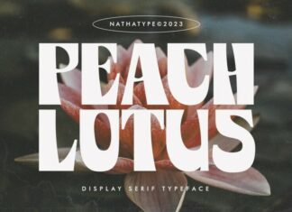 Peach Lotus Display Font