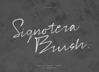 Signotera Brush Font