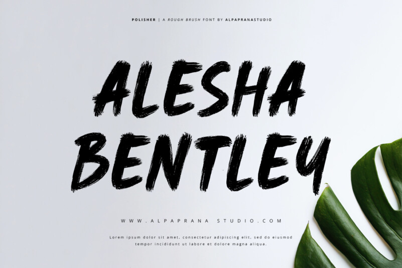 Polisher Font preview image 5