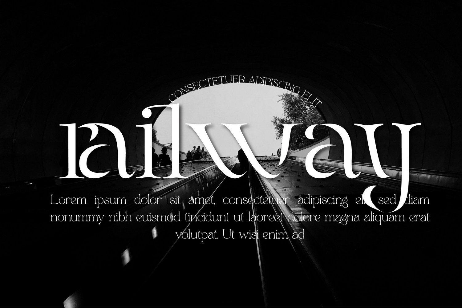 Fellee Stencil Font Download Free Font