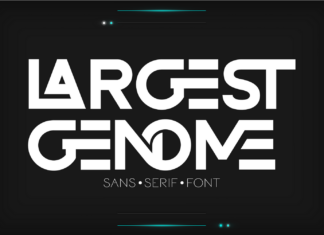 Largest Genome Font