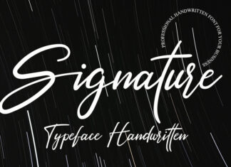 Signature Script Typeface