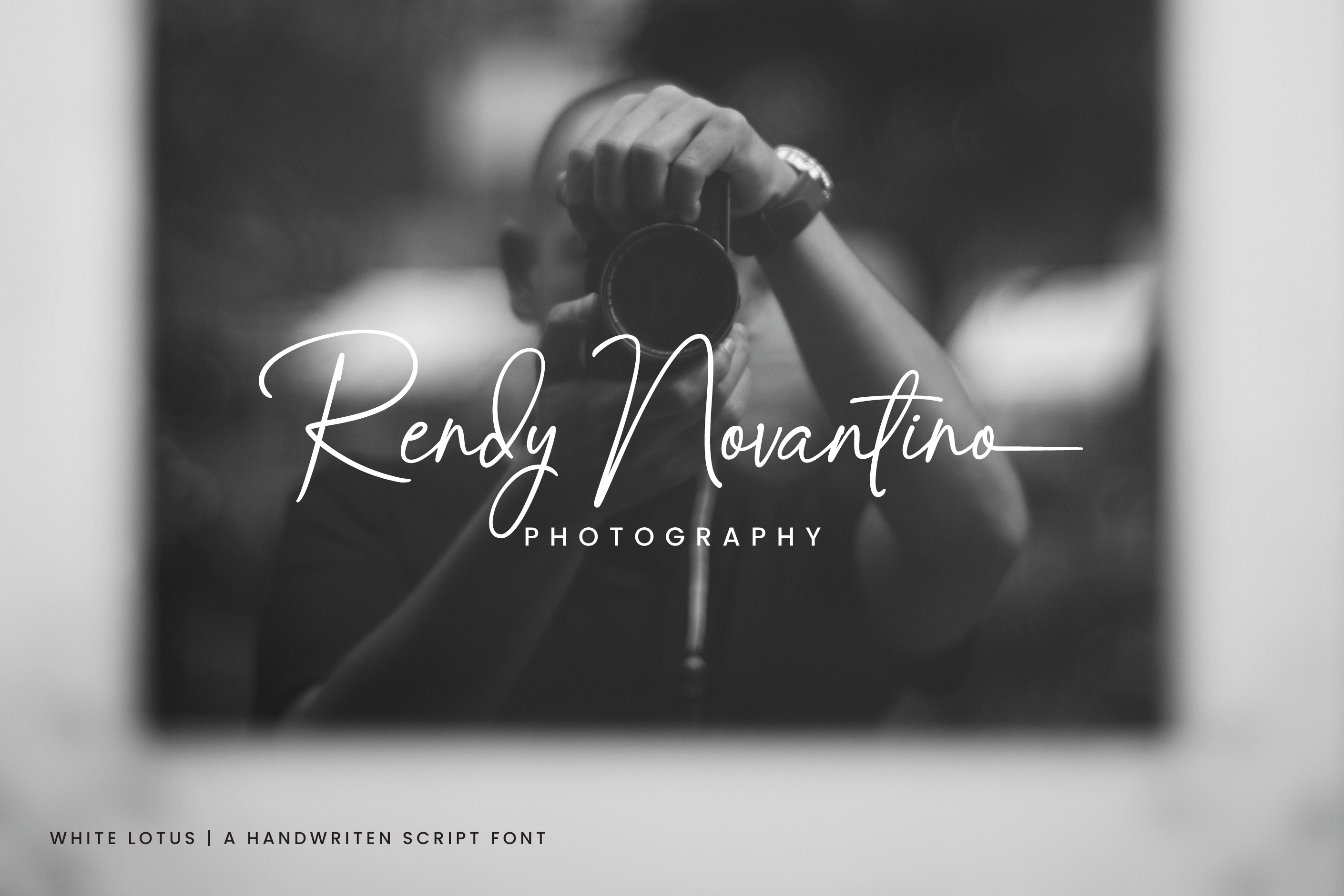 White Lotus Font Download Free Font