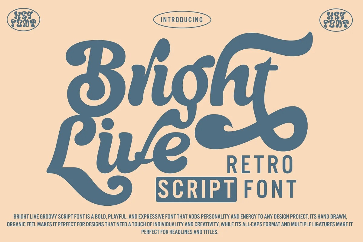 Seconds - Free Rough Brush Script – Pixel Surplus