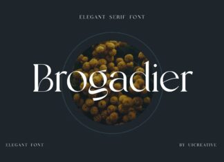 Brogadier Font