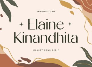 Elaine Kinandhita Font
