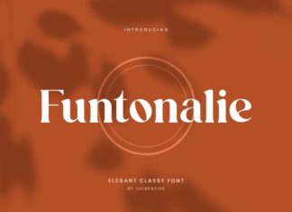 Funtonalie Font