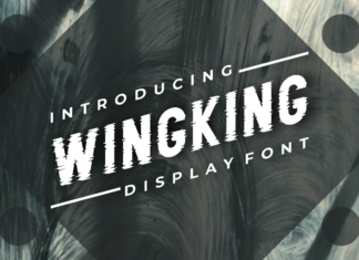 Wingking Font