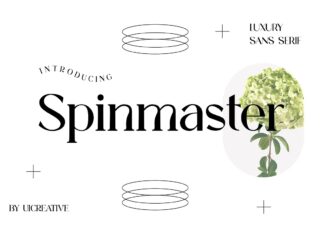 Spinmaster Font