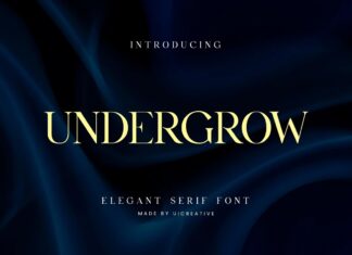 Undergrow Font