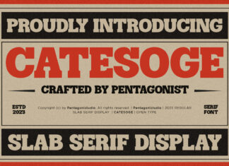 Catesoge | Retro Slab Font