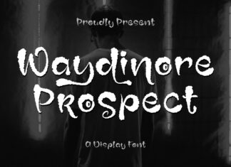 Waydinore Prospect Font
