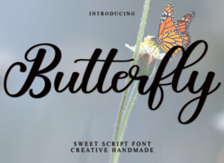 Butterfly Calligraphy Typeface