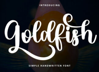 Goldfish Typeface