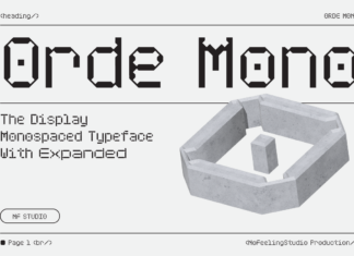 Orde Mono Font