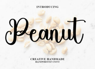Peanut Font