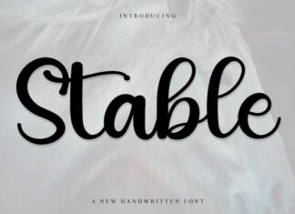 Stable Script Typeface