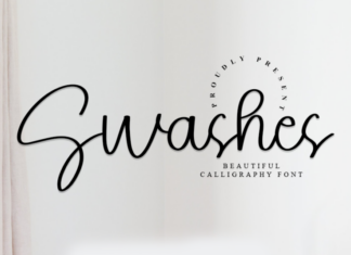 Swashes Font