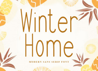 Winter Home Font