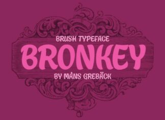 Bronkey Font