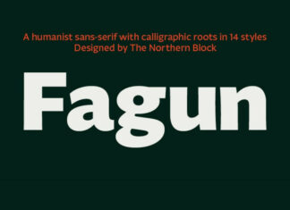 Fagun Font