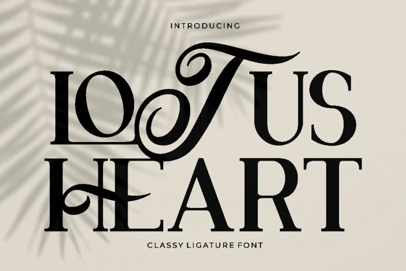 Wild Heart Font, Webfont & Desktop