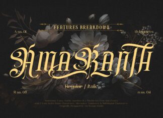 Rainmoney version Font