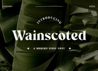 Wainscoted Font