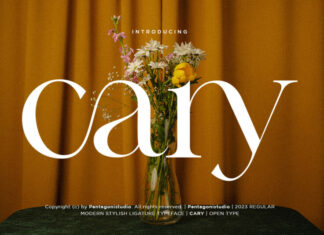 Cary | Classy Serif Font