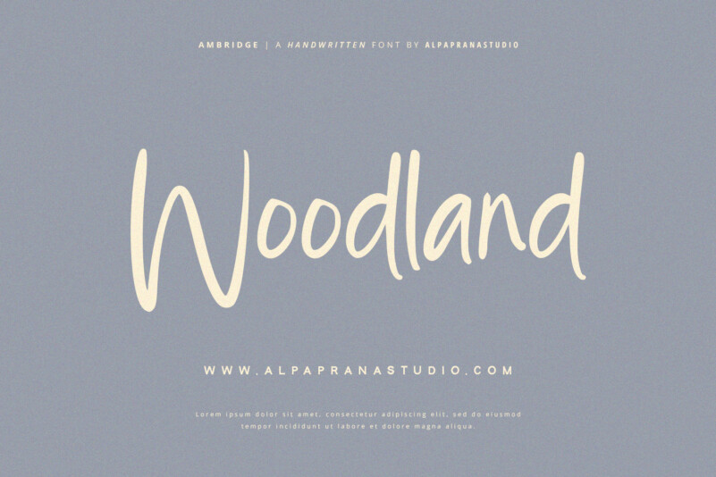 Ambridge Typeface preview image 4
