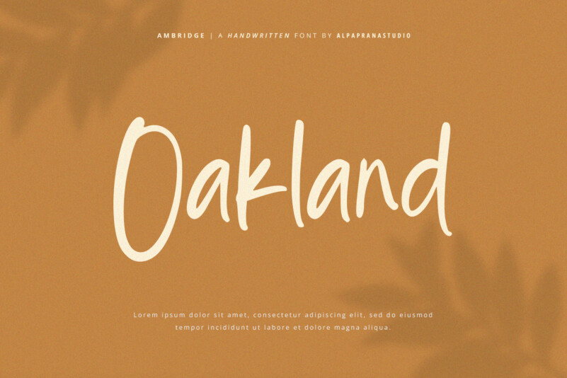 Ambridge Typeface preview image 5