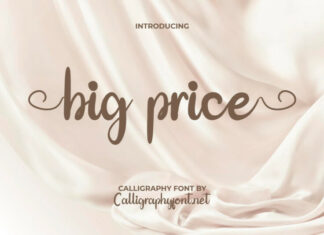 Big Price Font