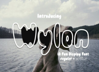 Wylon Outline Font