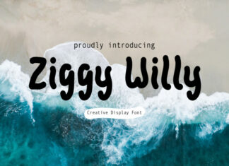 Ziggy Willy Font