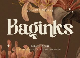 Baginks Font