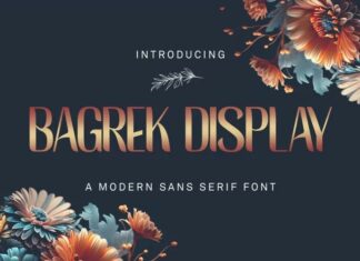 Ladyrose - Modern Sans Serif