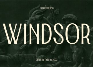 Windsor Font
