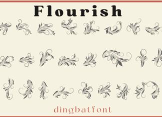 Flourish Display Typeface