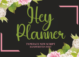 Hey Planner Font