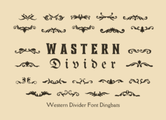 Wastern Divider Display Font