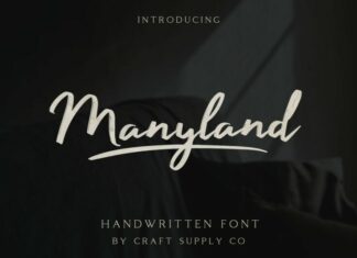 Manyland Font