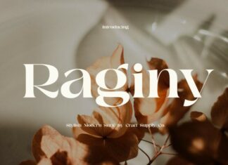 Raginy Serif Font