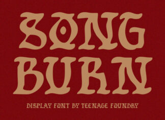 TF Song Burn Font