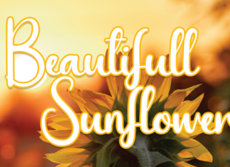 Beautifull Sunflower Script Font